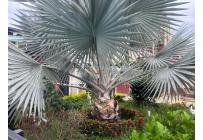 Apartamentos, Venta, La Base - $145.000.000