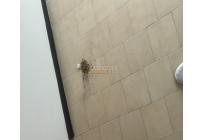 Apartamentos, Alquiler, Metropolitano del Norte - $980.000