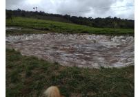 Fincas y Casas Campestres, Venta, Dagua - $2.500.000.000