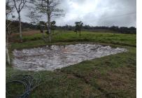 Fincas y Casas Campestres, Venta, Dagua - $2.500.000.000