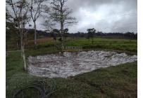 Fincas y Casas Campestres, Venta, Dagua - $2.500.000.000