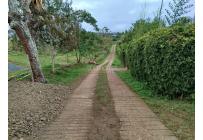 Lotes, Venta, Calicanto - $85.000.000