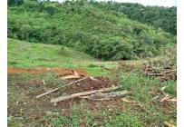 Lotes, Venta, Calicanto - $85.000.000