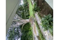 Casas, Venta, Pance - $4.500.000.000