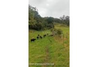 Lotes, Venta, Bojaca - $3.300.000.000
