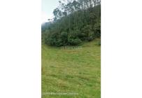 Lotes, Venta, Bojaca - $3.300.000.000
