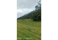 Lotes, Venta, Bojaca - $3.300.000.000