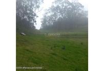 Lotes, Venta, Bojaca - $3.300.000.000