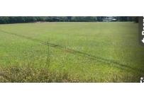 Lotes, Alquiler, Pance - $6.000.000