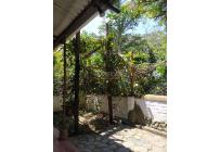 Apartamentos, Alquiler, Buitrera - $1.100.000