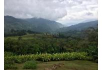 Fincas y Casas Campestres, Venta, Santa Rita - $1.300.000.000