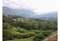 Fincas y Casas Campestres, Venta, Santa Rita - $1.300.000.000