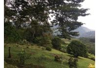 Fincas y Casas Campestres, Venta, Santa Rita - $1.300.000.000