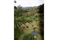 Fincas y Casas Campestres, Venta, Santa Rita - $1.300.000.000