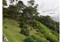 Fincas y Casas Campestres, Venta, Santa Rita - $1.300.000.000