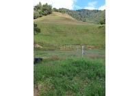 Fincas y Casas Campestres, Venta, Restrepo - $5.000.000.000