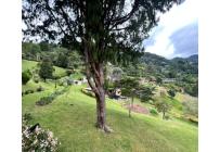 Fincas y Casas Campestres, Venta, Yumbo - $1.400.000.000