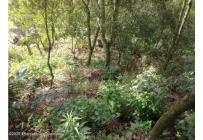 Lotes, Venta, San Gil - $95.000.000