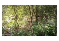 Lotes, Venta, San Gil - $95.000.000