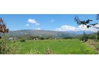 Fincas y Casas Campestres, Venta, Jamundí - $1.600.000.000