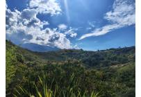 Lotes, Venta, La Buitrera - $190.000.000