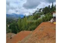 Fincas y Casas Campestres, Venta, Dagua - $280.000.000