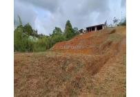 Fincas y Casas Campestres, Venta, Dagua - $280.000.000