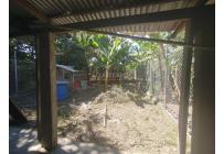 Casas, Venta, Palmira - $300.000.000