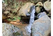 Fincas y Casas Campestres, Venta, Dagua - $590.000.000