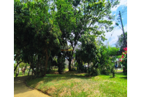 Apartamentos, Venta, El Limonar - $330.000.000