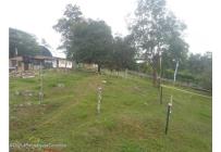 Lotes, Venta, Arbelaez - $196.200.000