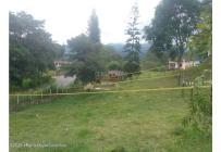 Lotes, Venta, Arbelaez - $184.800.000