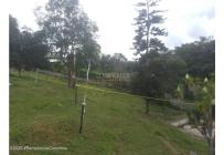 Lotes, Venta, Arbelaez - $184.800.000