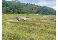 Fincas y Casas Campestres, Venta, Ginebra - $550.000.000