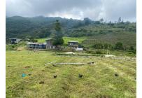 Fincas y Casas Campestres, Venta, Ginebra - $550.000.000