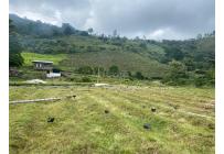 Fincas y Casas Campestres, Venta, Ginebra - $550.000.000