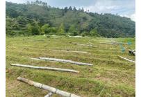 Fincas y Casas Campestres, Venta, Ginebra - $550.000.000