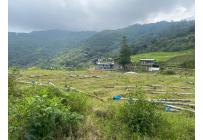 Fincas y Casas Campestres, Venta, Ginebra - $550.000.000