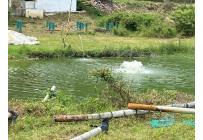 Fincas y Casas Campestres, Venta, Ginebra - $550.000.000