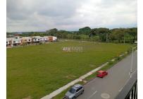 Apartamentos, Alquiler, Palmira - $950.000