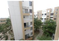 Apartamentos, Venta, Palmira - $390.000.000