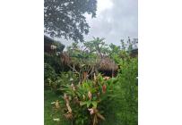 Fincas y Casas Campestres, Venta, Palmira - $1.700.000.000