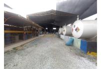 Locales y Bodegas, Alquiler, Palmira - $22.000.000