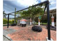 Lotes, Venta, Palmira - $550.000.000