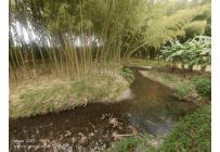 Lotes, Venta, Palmira - $550.000.000