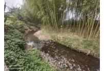 Lotes, Venta, Palmira - $550.000.000