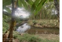 Lotes, Venta, Palmira - $550.000.000