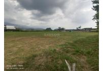 Lotes, Venta, Palmira - $550.000.000