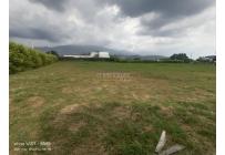 Lotes, Venta, Palmira - $550.000.000