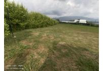 Lotes, Venta, Palmira - $550.000.000